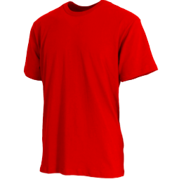 Adult T-Shirt