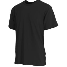 Adult T-Shirt