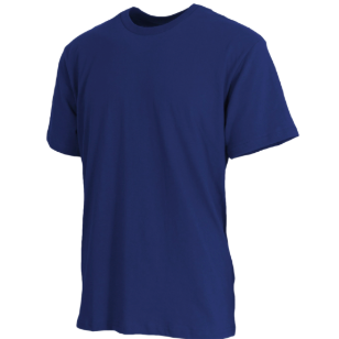 Adult T-Shirt