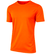 Adult Dri Fit T-Shirt